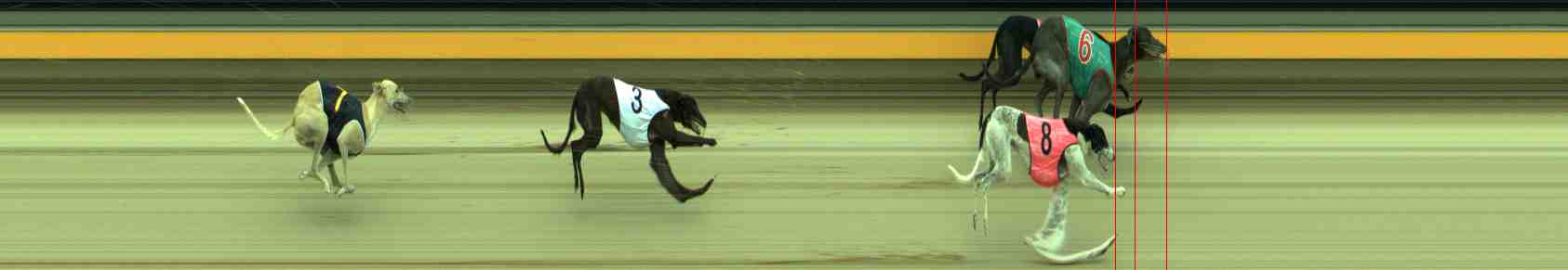 Race result finish photo